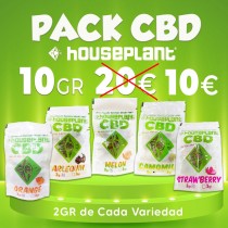 Pack CBD Houseplant 10 GR